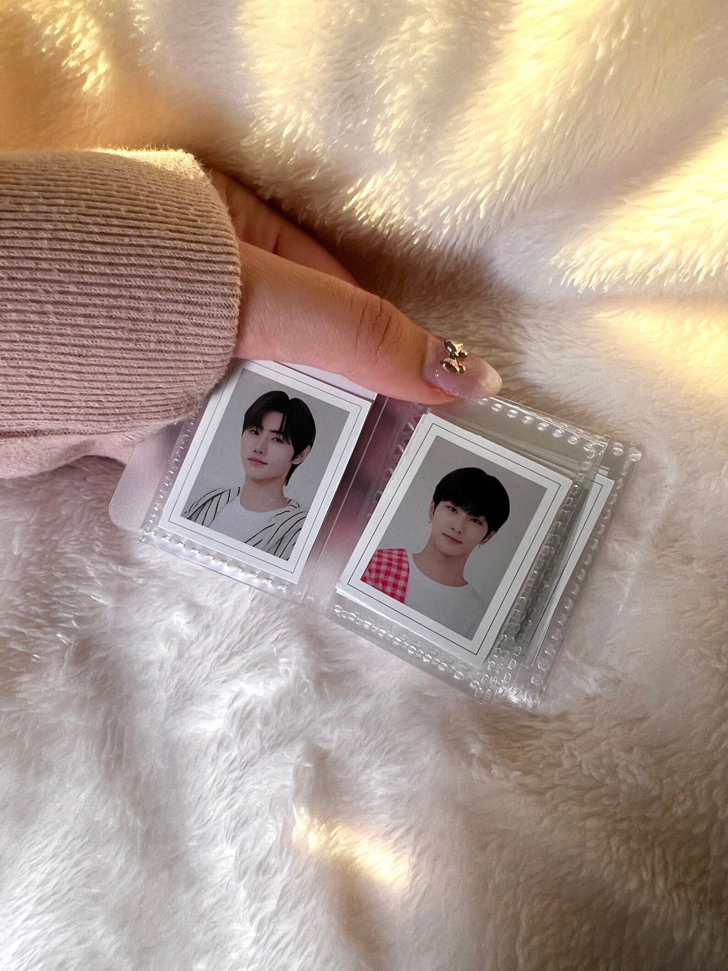 Frosted Mini Photo Card Albums